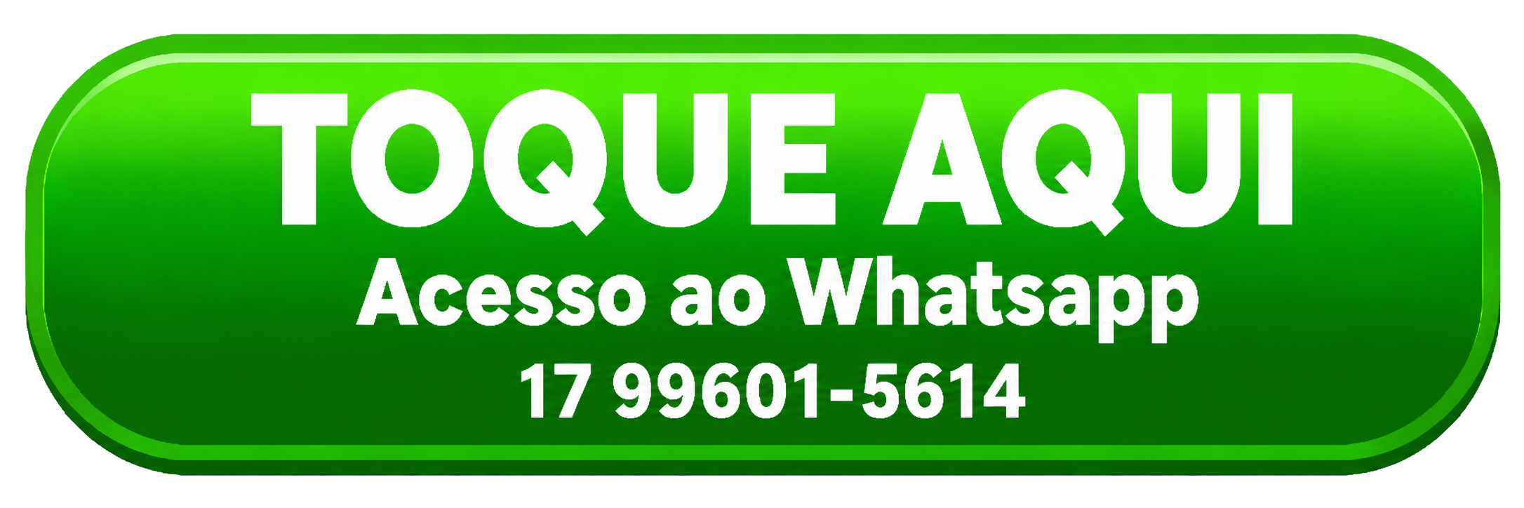 Acesso ao Whatsapp da Profeta Construtor